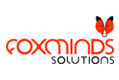 FOXMINDS Solutions LLC